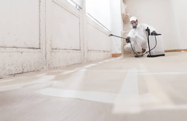 Post-remediation clearance in Ponte Vedra Beach
